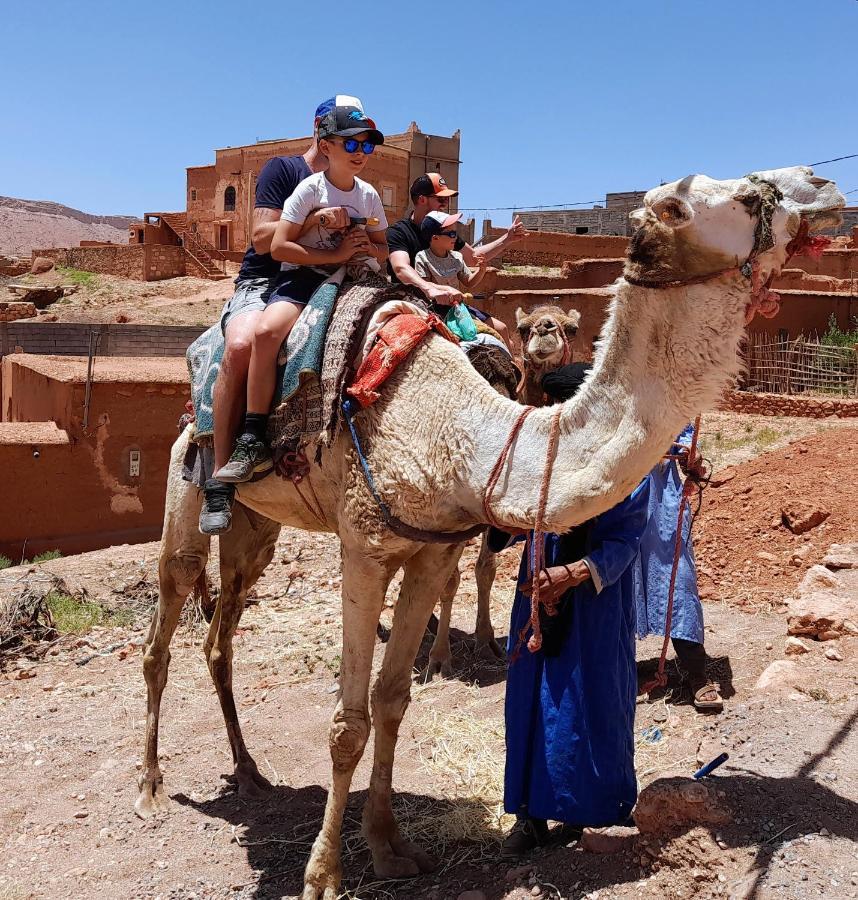 Kasbah La Cigogne Bed and Breakfast Ait-Ben-Haddou Eksteriør billede