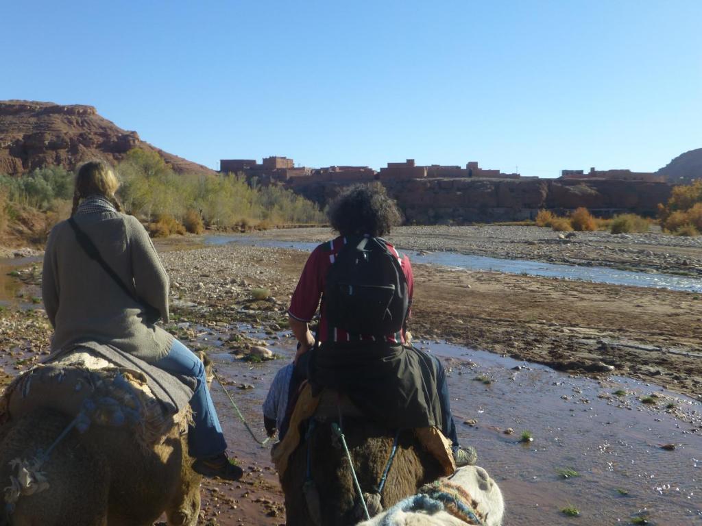Kasbah La Cigogne Bed and Breakfast Ait-Ben-Haddou Eksteriør billede
